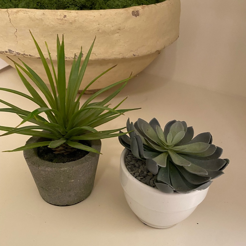 Set of 2 artificial plants